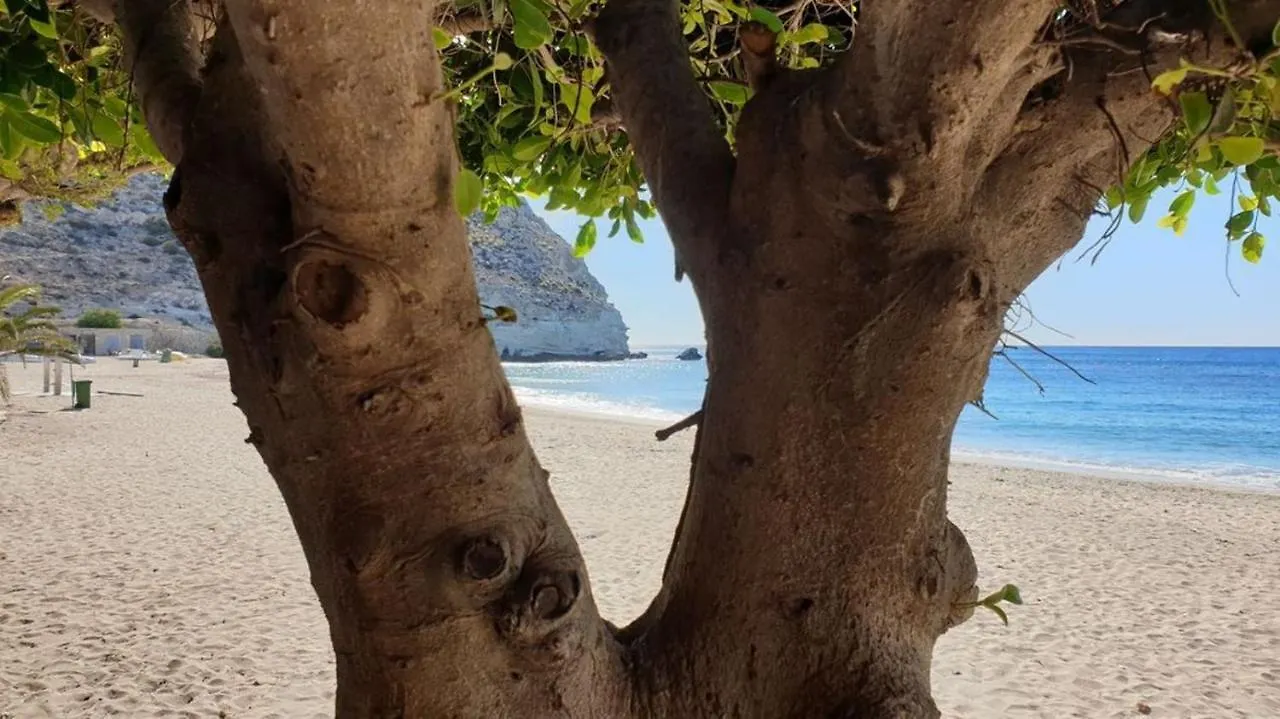 Вилла Casa El Algarrobico Агуа-Амарга 0*,